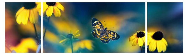 Obraz - Żółty motyl z kwiatami (170x50 cm)