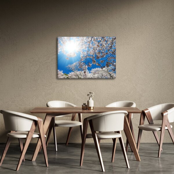 Obraz - Wiśniowe kwiaty (70x50 cm)