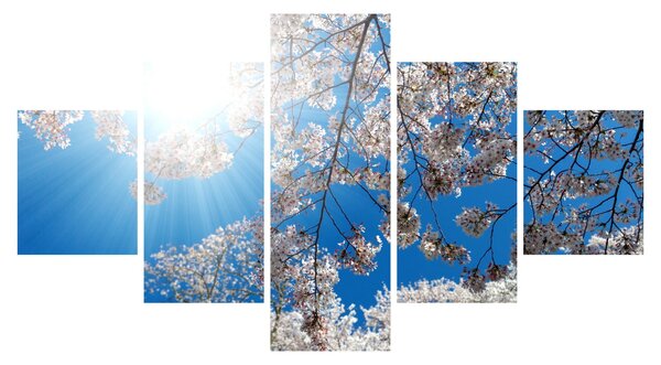 Obraz - Wiśniowe kwiaty (125x70 cm)