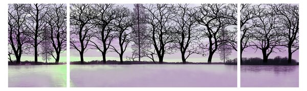 Obraz - Łodka na jeziorze (170x50 cm)