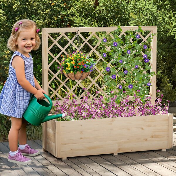 Pergola do sadzenia z kratą do roślin pnących