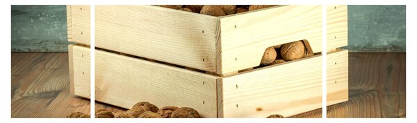 Obraz - Jesienna martwa natura z orzechami (170x50 cm)