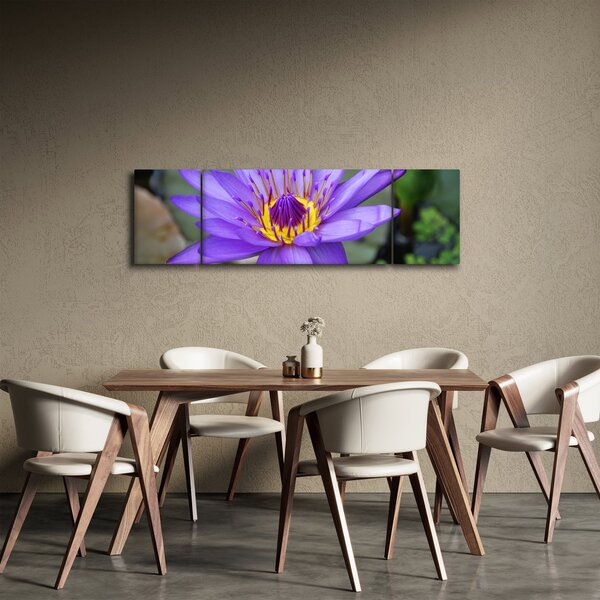 Obraz - Fioletowy kwiat (170x50 cm)