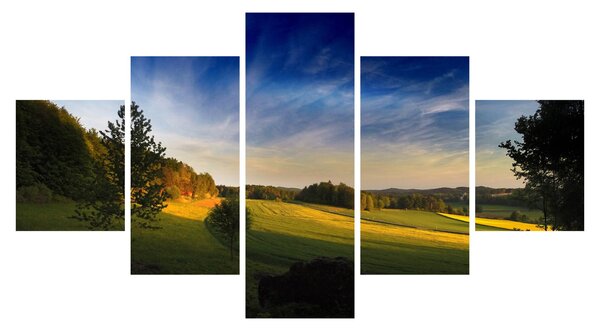 Obraz - Górska łąka (125x70 cm)
