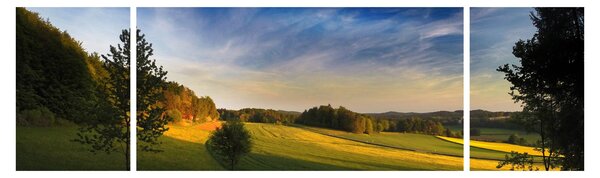 Obraz - Górska łąka (170x50 cm)