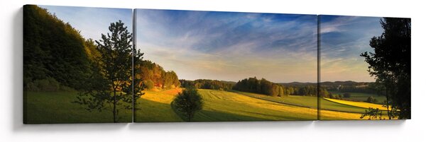 Obraz - Górska łąka (170x50 cm)