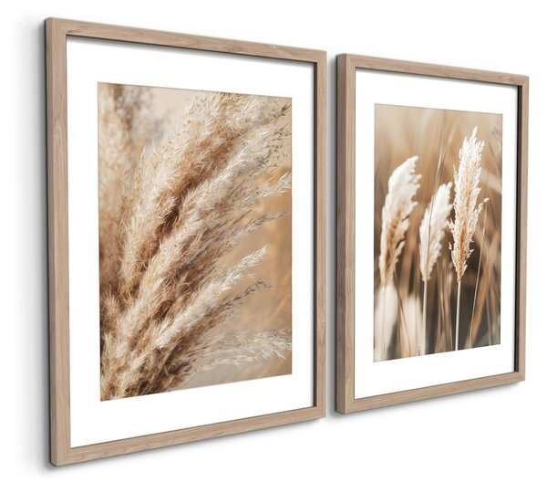 Obrazy zestaw 2 szt. 30x40 cm Selloana – Styler