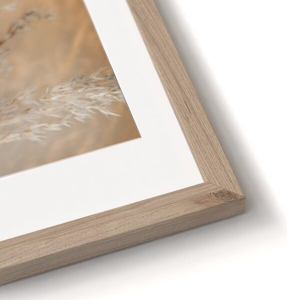 Obrazy zestaw 2 szt. 30x40 cm Selloana – Styler