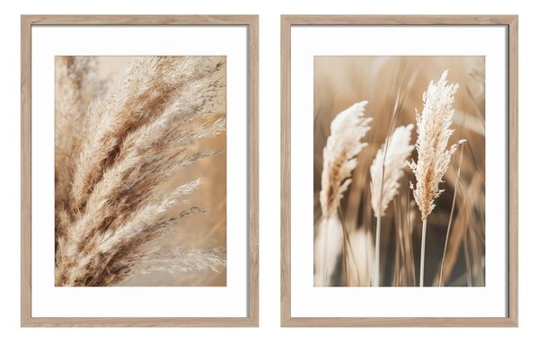 Obrazy zestaw 2 szt. 30x40 cm Selloana – Styler