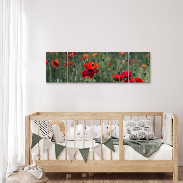 Obraz - Łąka z makami (170x50 cm)
