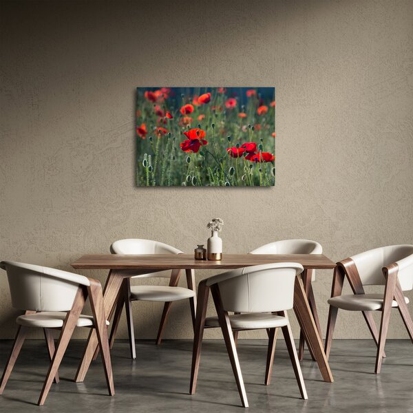 Obraz - Łąka z makami (70x50 cm)