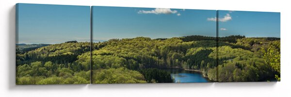 Obraz - Jezioro w lesie (170x50 cm)