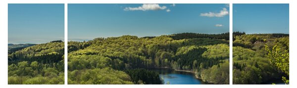 Obraz - Jezioro w lesie (170x50 cm)