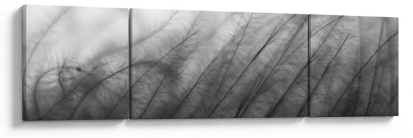 Obraz - Trawa na wietrze (170x50 cm)