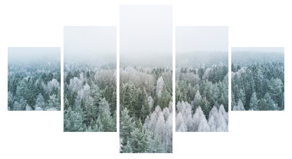 Obraz - Ośnieżone szczyty lasów (125x70 cm)