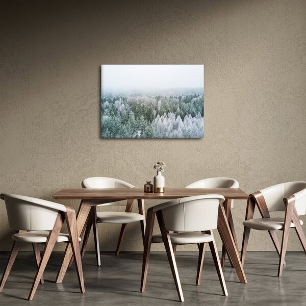 Obraz - Ośnieżone szczyty lasów (70x50 cm)