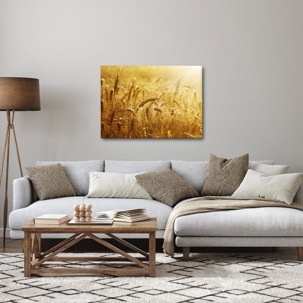Obraz - Kłosy zboża (70x50 cm)