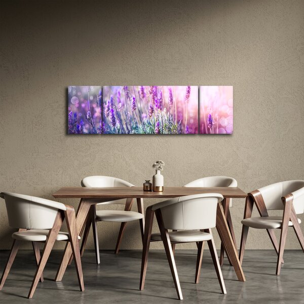 Obraz - Lawenda w słońcu (170x50 cm)