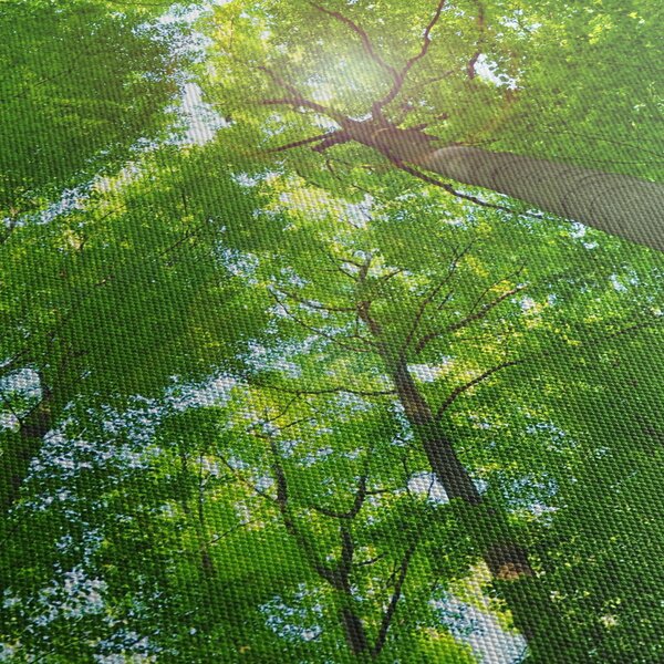 Obraz - Las (170x50 cm)