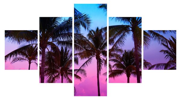 Obraz - Palmy w Miami (125x70 cm)