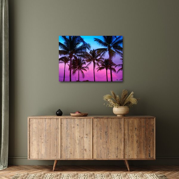 Obraz - Palmy w Miami (70x50 cm)