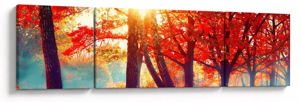 Obraz- Jesienny krajobraz (170x50 cm)