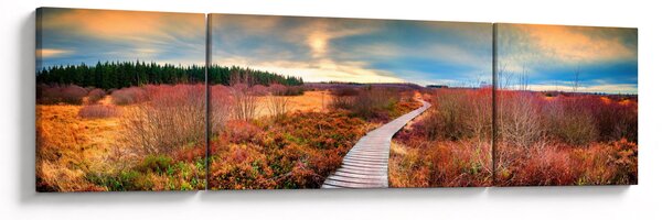 Obraz - Jesienna podróż krainą (170x50 cm)