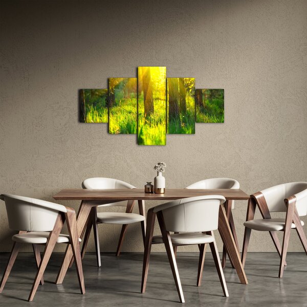 Obraz - Wiosenne przebudzenie lasu (125x70 cm)