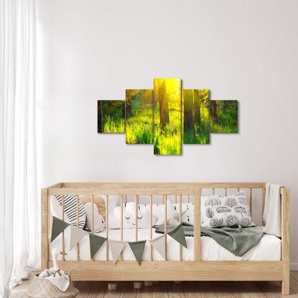 Obraz - Wiosenne przebudzenie lasu (125x70 cm)