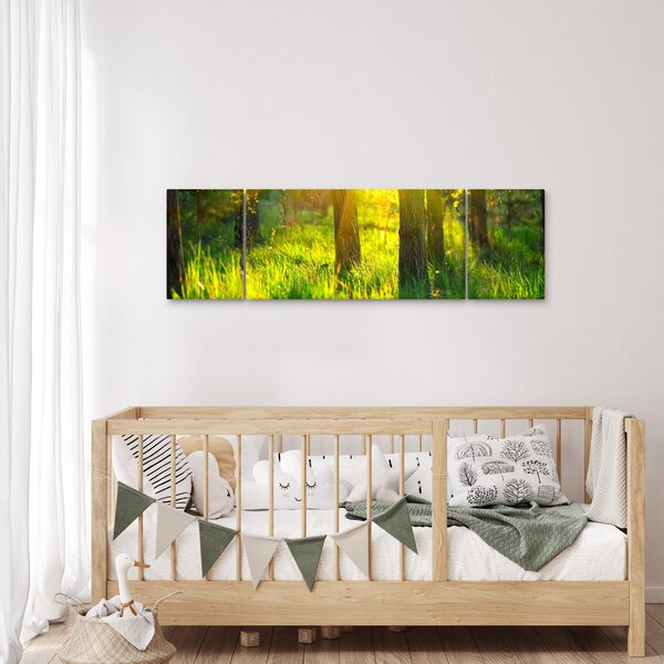 Obraz - Wiosenne przebudzenie lasu (170x50 cm)