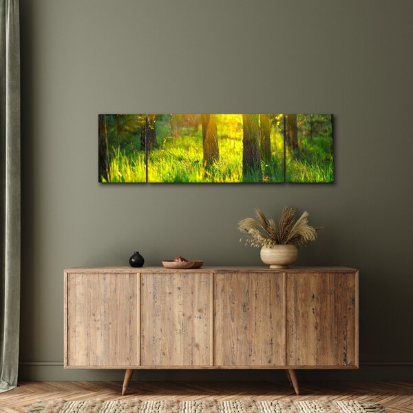 Obraz - Wiosenne przebudzenie lasu (170x50 cm)