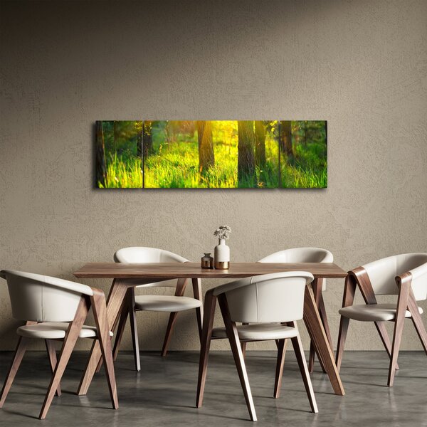 Obraz - Wiosenne przebudzenie lasu (170x50 cm)