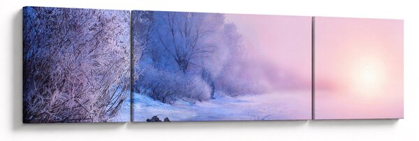 Obraz - Zamarznięta rzeka (170x50 cm)