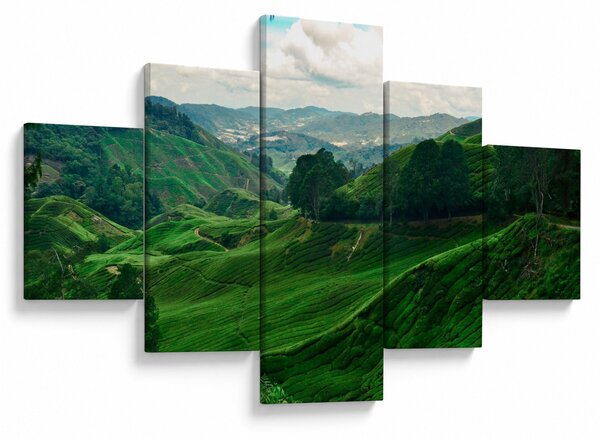 Obraz - Plantacje herbaty w Malezji (125x70 cm)