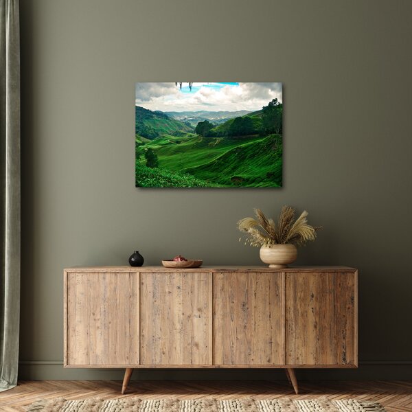 Obraz - Plantacje herbaty w Malezji (70x50 cm)