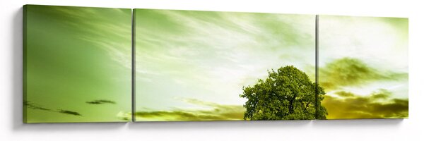 Obraz - Drzewo życia (170x50 cm)