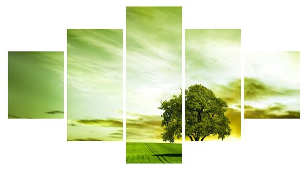 Obraz - Drzewo życia (125x70 cm)