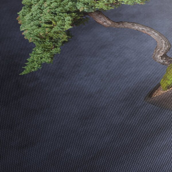 Obraz - Bonsai (125x70 cm)