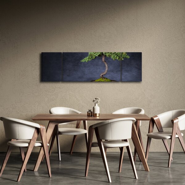 Obraz - Bonsai (170x50 cm)