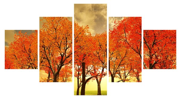 Obraz - Jesień (125x70 cm)