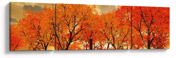 Obraz - Jesień (170x50 cm)