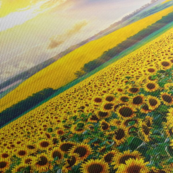 Obraz - Pole słoneczników (125x70 cm)