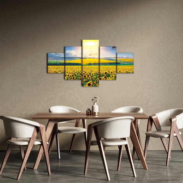 Obraz - Pole słoneczników (125x70 cm)