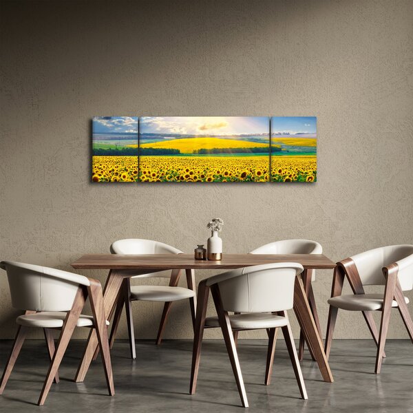 Obraz - Pole słoneczników (170x50 cm)