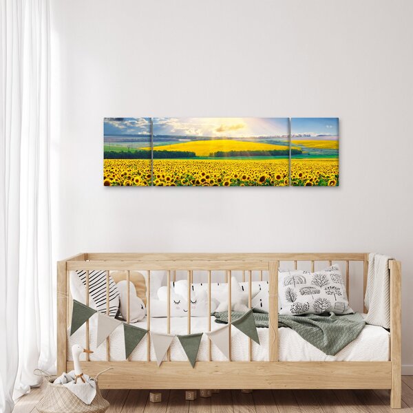 Obraz - Pole słoneczników (170x50 cm)