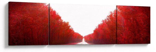 Obraz - Droga do miłości (170x50 cm)