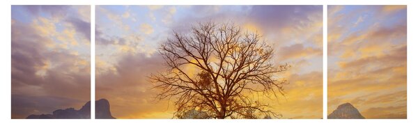 Obraz - Pejzaż ze słonecznikami (170x50 cm)