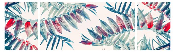 Obraz - Tropikalne liście (170x50 cm)