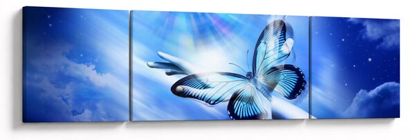Obraz - Motyl, symbol nadziei (170x50 cm)