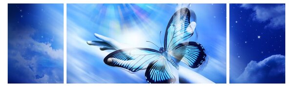 Obraz - Motyl, symbol nadziei (170x50 cm)